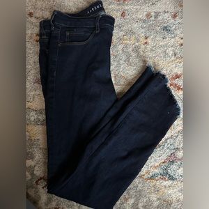 Articles of Society dark denim frayed skinny jeans